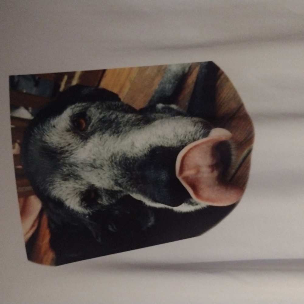 T shirts - Picture 2 of 2